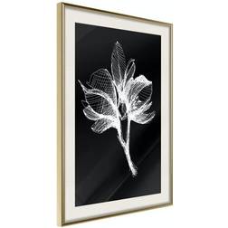 Arkiio Affisch Night Flower [Poster] 20x30 Poster